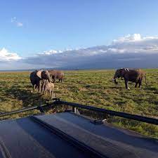 3 Days Amboseli National Park Safari